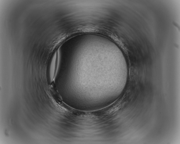 X0000096680201200802191400