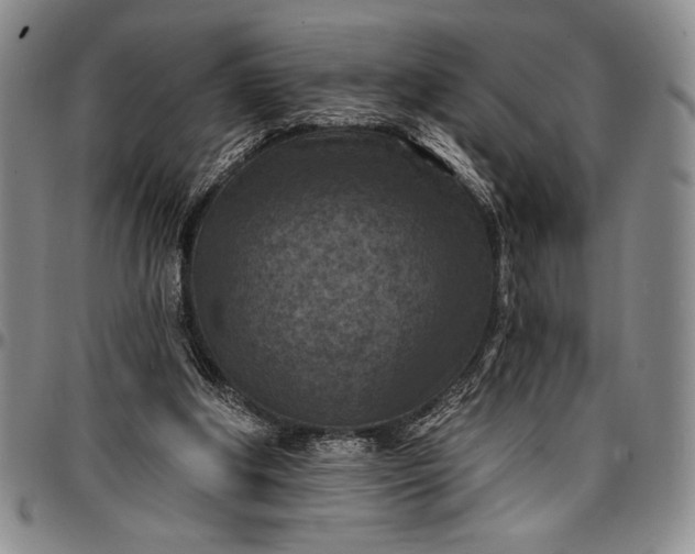 X0000096680202200802191400