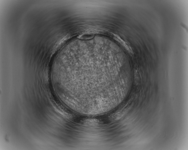 X0000096680203200802191400