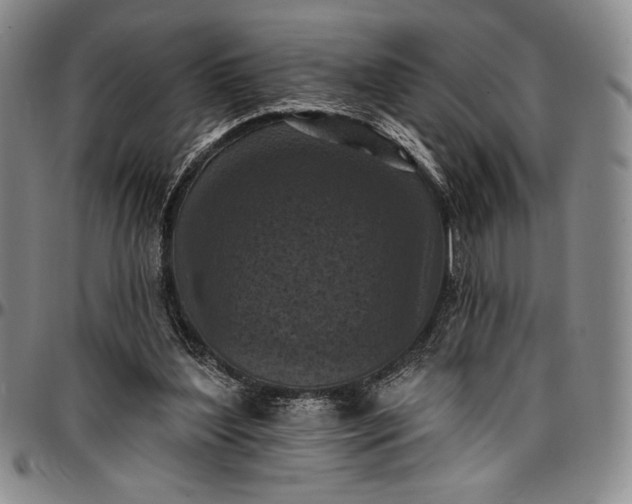 X0000096680204200802191400