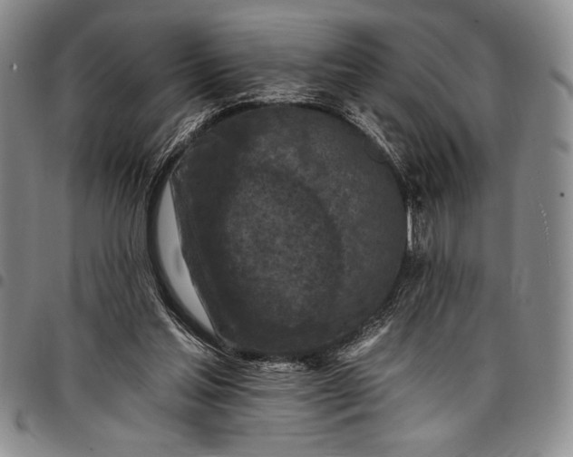 X0000096680205200802191400