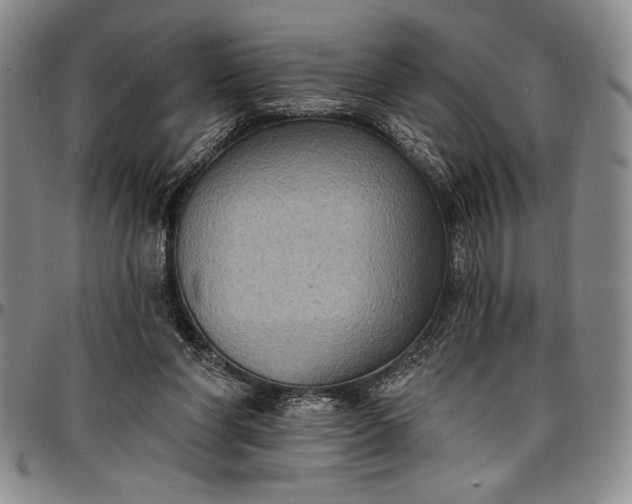 X0000096680206200802191400