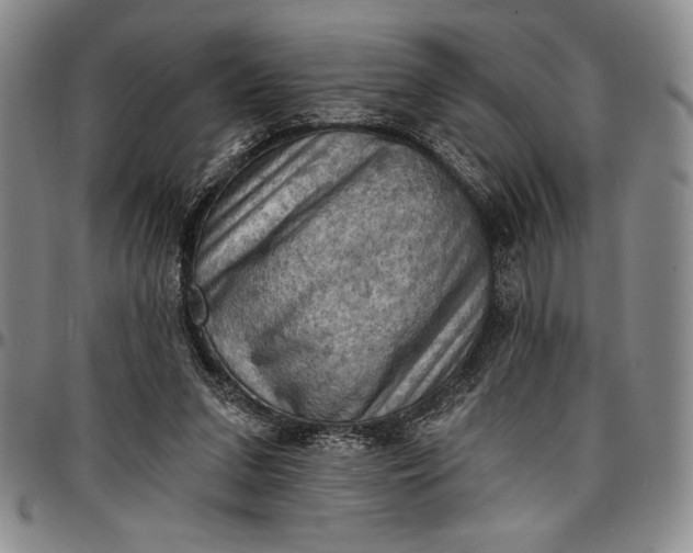X0000096680207200802191359