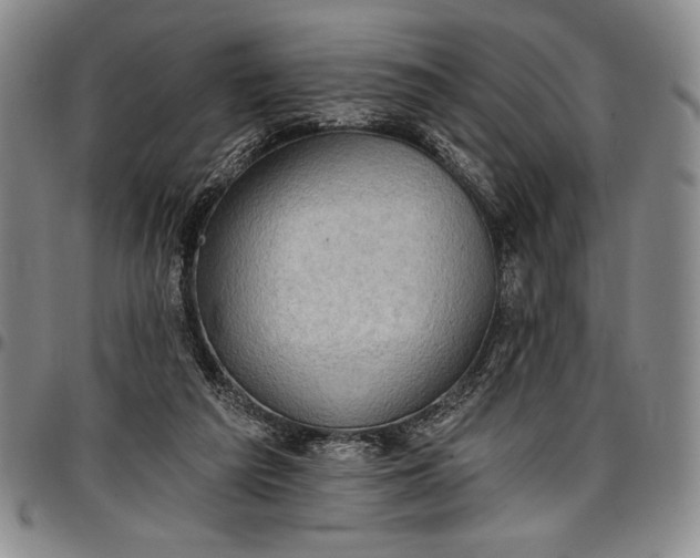X0000096680209200802191359