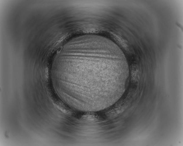 X0000096680211200802191359