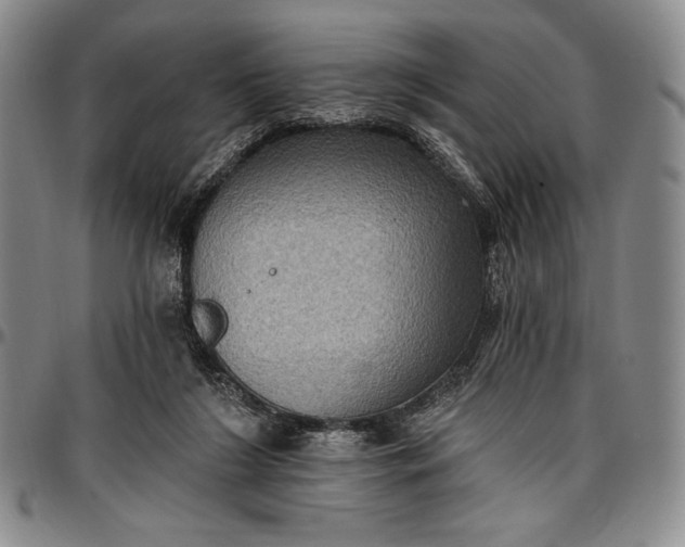 X0000096680212200802191359
