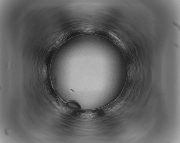 X0000096680213200802191359
