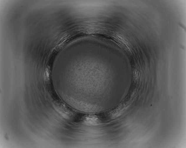 X0000096680214200802191359