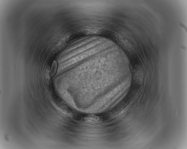 X0000096680215200802191359