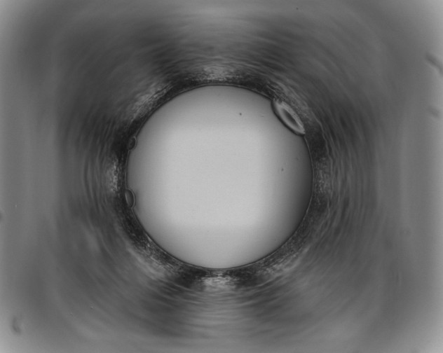 X0000096680216200802191359