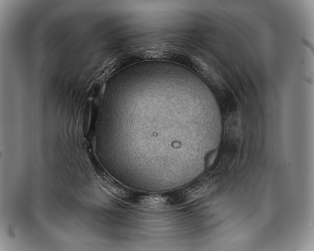 X0000096680217200802191359