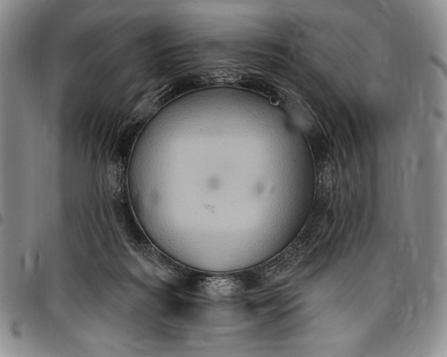 X0000096680218200802191359