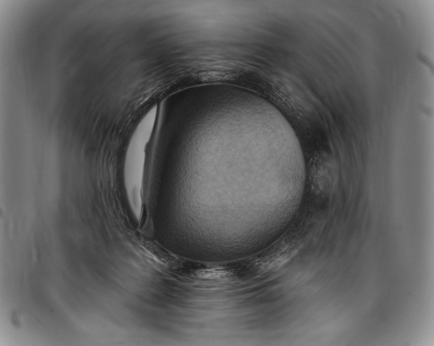 X0000096680219200802191359