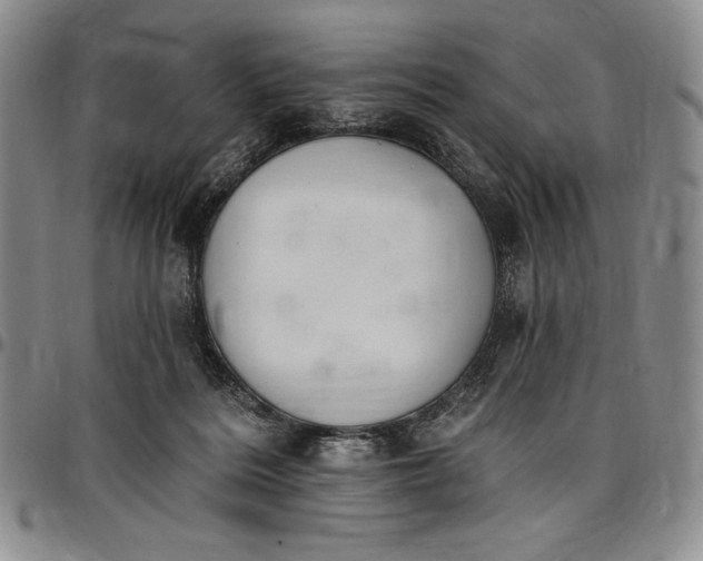 X0000096680220200802191359