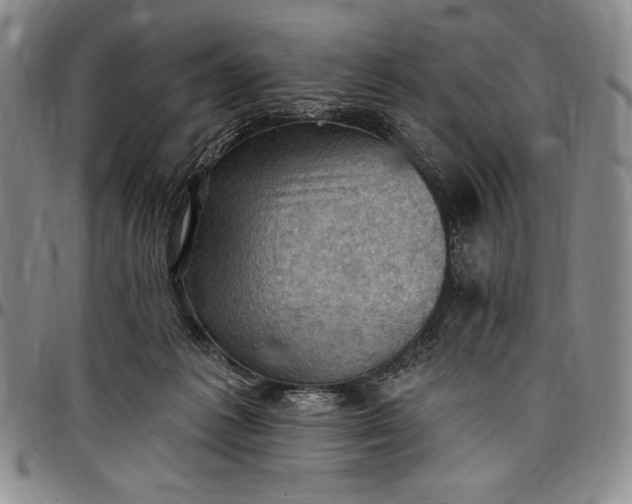 X0000096680221200802191359