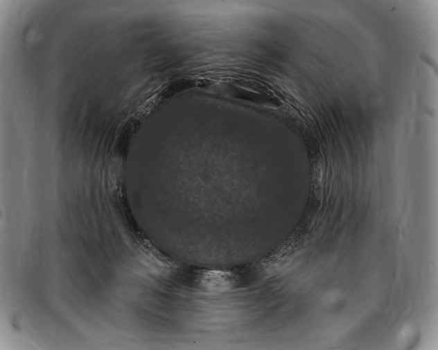 X0000096680222200802191359