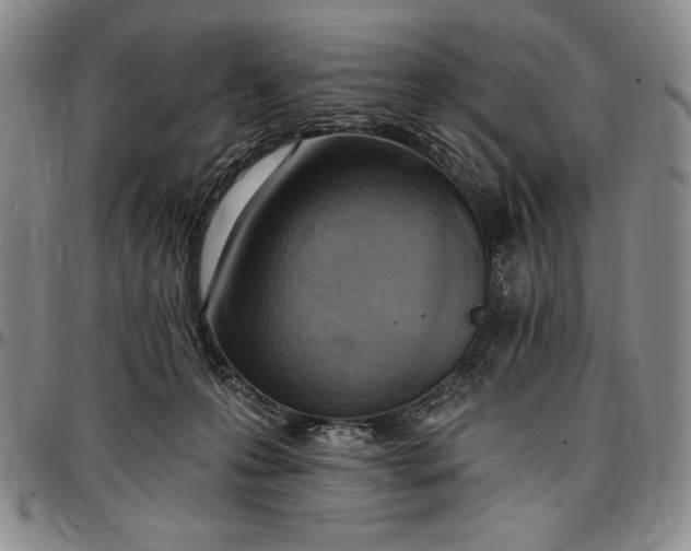 X0000096680223200802191359
