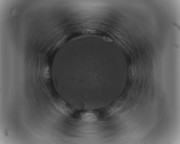X0000096680224200802191359