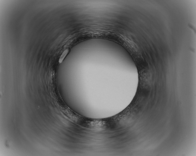 X0000096680225200802191359