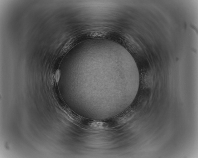 X0000096680227200802191359