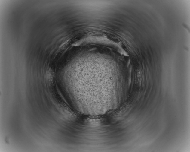 X0000096680228200802191359