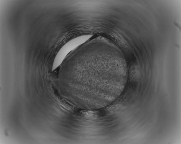 X0000096680229200802191359