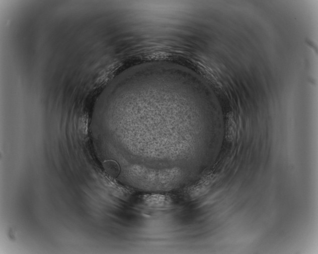 X0000096680230200802191359
