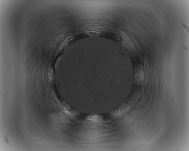 X0000096680231200802191359