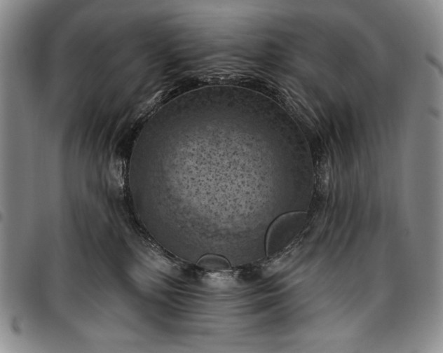 X0000096680232200802191359