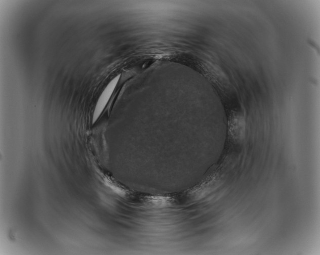 X0000096680233200802191359