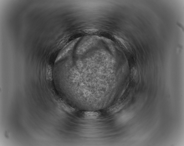 X0000096680234200802191359