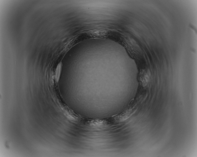 X0000096680235200802191359