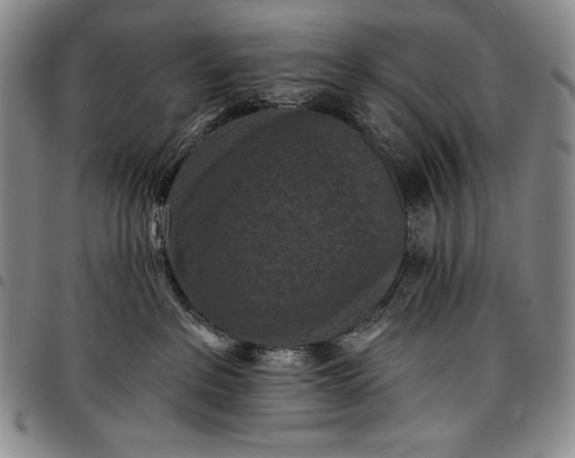 X0000096680237200802191359
