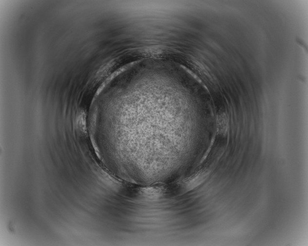 X0000096680238200802191359