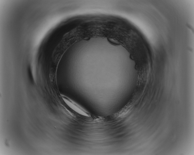 X0000096680239200802191359