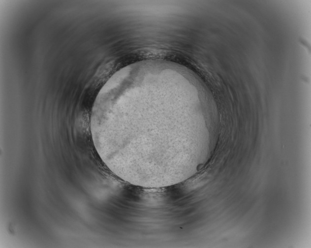 X0000096680240200802191359