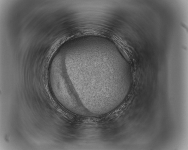 X0000096680241200802191358