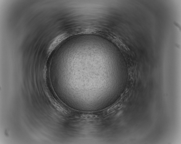 X0000096680242200802191358