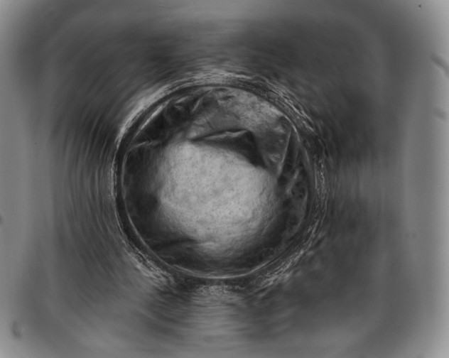 X0000096680244200802191358