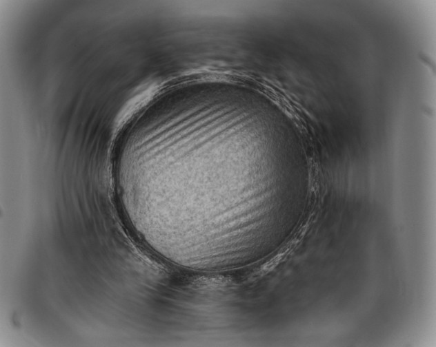 X0000096680245200802191358