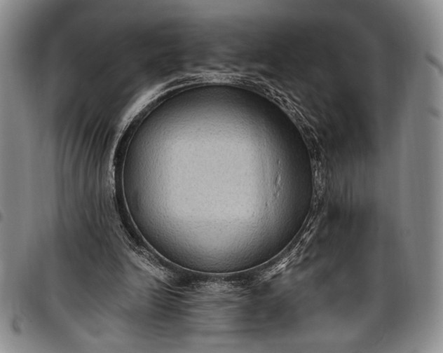 X0000096680246200802191358