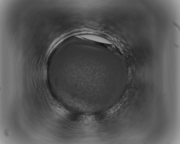 X0000096680247200802191358