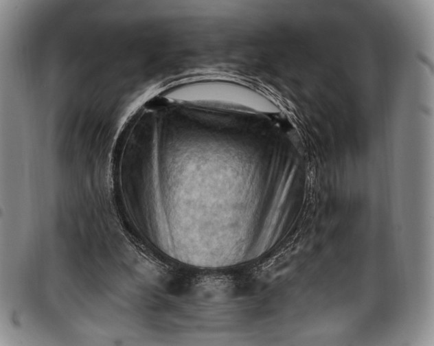 X0000096680248200802191358
