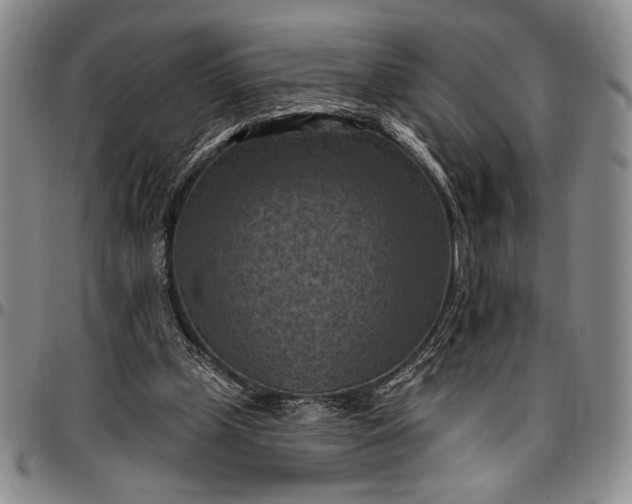 X0000096680249200802191359