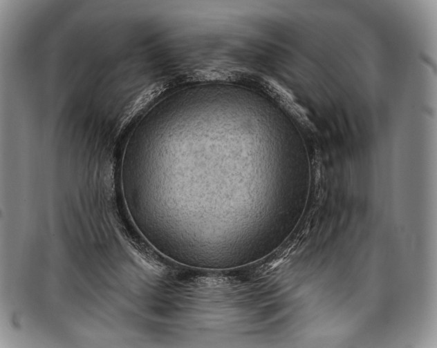 X0000096680250200802191359