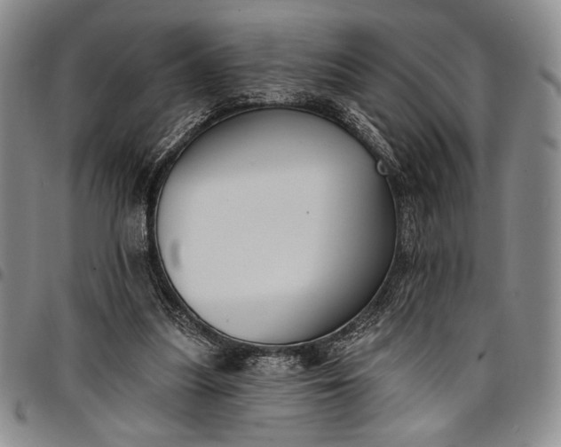 X0000096680251200802191359