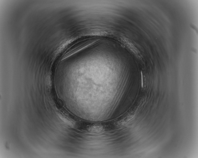 X0000096680252200802191359