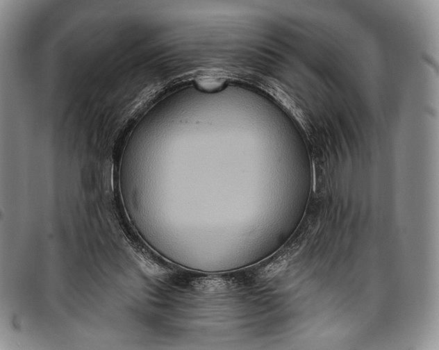 X0000096680253200802191359