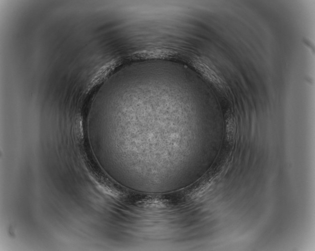 X0000096680254200802191359