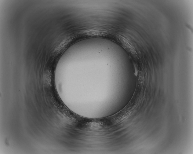 X0000096680255200802191359